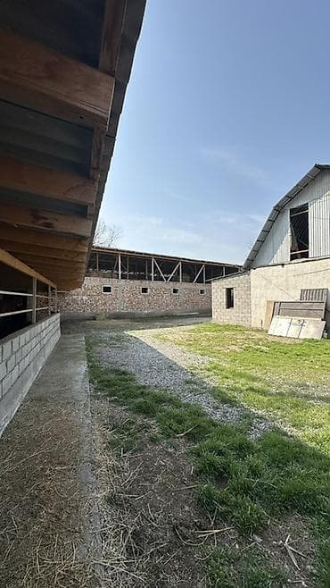 Продажа коммерческой недвижимости: Ферма КРС, 15 соток, Действующий — 9