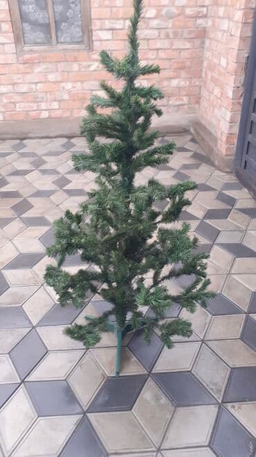 голубые ель: Искусственная ёлка разборный . Высота 1.5 метра . С игрушками — 4