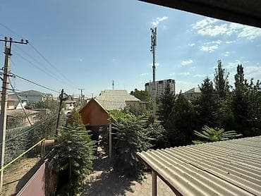 4 соток, Курулуш, Кызыл китеп — 3