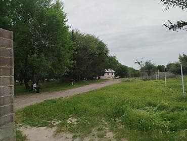 барачные дома: Продается дом с большим сараем для коров,быков на 100 голов,с будущим — 1