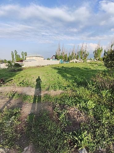 земля в беловодске: 5 соток, Красная книга — 6