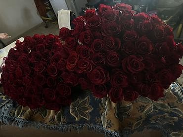 цветы розы цена: 🌹 Срочно продам свежие красные розы премиум качества — Очень свежие — 2