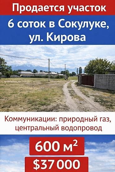 дом с бассейном: 6 соток — 1