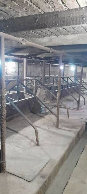 продаю дом новониколаевка: Үй, 150 кв. м, 5 бөлмө, Менчик ээси, Евро оңдоо — 24