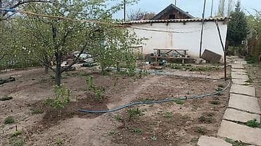 недвижимость квартира: 7 соток, Для сельского хозяйства, Красная книга, Тех паспорт, Договор дарения — 9