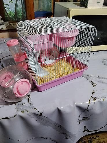 аквариумы с рыбками: Продаётса клетка, и всё на фотках внутри также есть посуда для корма — 1