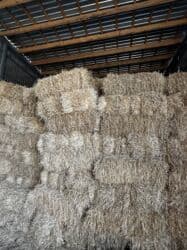 пудель сколько стоит: САМАН АРПА! более 700 тюков 160 СОМ (ТОРГ ЕСТЬ), ПЛОТНЫЕ / БОЛЬШИЕ — 1