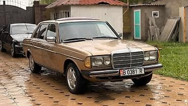 1983: Mercedes-Benz W123: 1983 г., 2.3 л, Механика, Бензин, Седан — 1