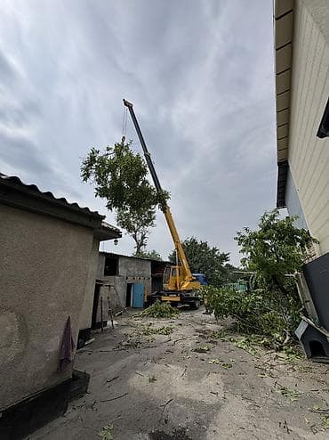 Кызматтар: Жаанын 21 м, 5000 т., Борттун 5000 кг — 4