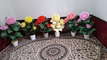 роза в горшке купить: Комнатные розы — 3