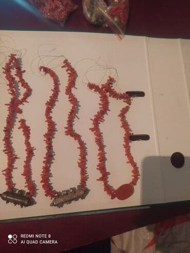 волейбольный мяч сколько стоит: Коралл длина от 40-50 см — 1