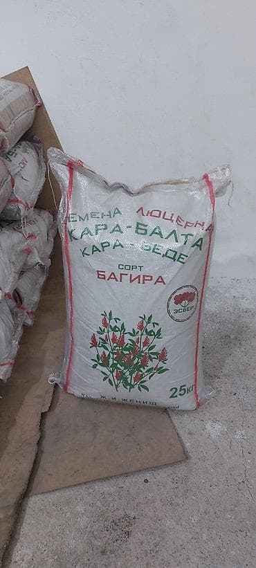 саженцы яблоня: Семена люцерны сорта Багира, упакованные в мешок весом 25 кг. Этот — 7