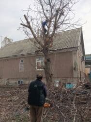 прайс лист на отделочные работы бишкек 2024 год: Кара-балта!!! Пилю Дрова Спил дров Колим дрова отун аралайбызбак — 13