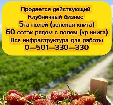 Земельные участки: 500 соток, Для бизнеса — 1