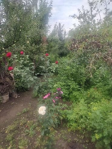 сары булун: Продаётся одноэтажный дом 69 кв. м В г. Каракол. Стены саман. С — 5
