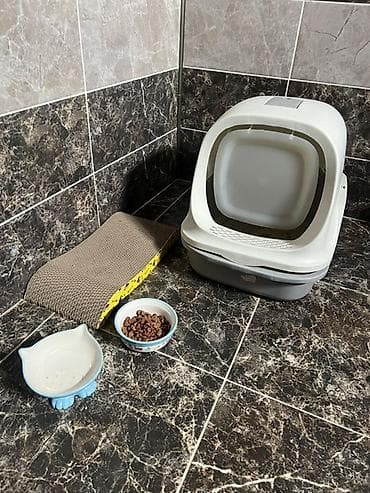 куплю хомяка с клеткой: Девочка, Приучена к лотку — 4