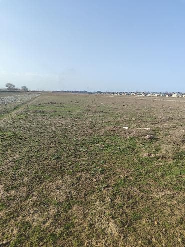 срочно продаётся: 4 соток, Для сельского хозяйства, Генеральная доверенность — 10