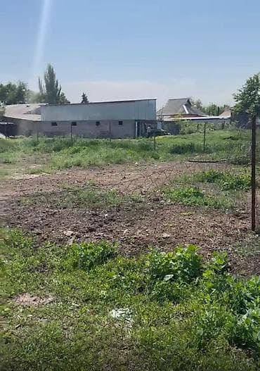 Жер тилкелери: 4 соток, Курулуш, Сатып алуу-сатуу келишими, Кызыл китеп — 3