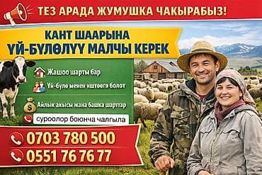 Требуется Пастух, Питание