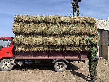 1 укос с доставкой по 360 at lalafo.kg 1 укос с доставкой по 360