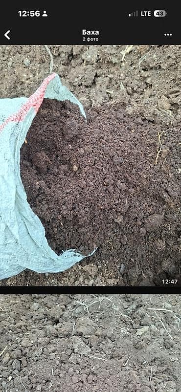 перегной в мешках: Перегной/органический компост в мешках. Биогумус не фильтрованный - — 1