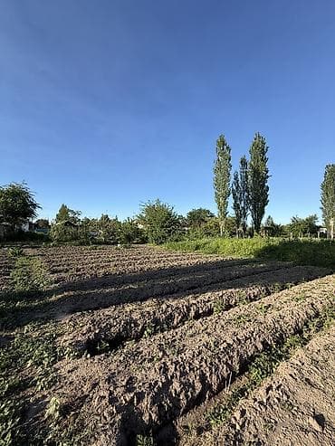 артез: 7 соток, Красная книга, Договор купли-продажи — 4