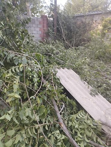 Дрова Самовывоз — 6
