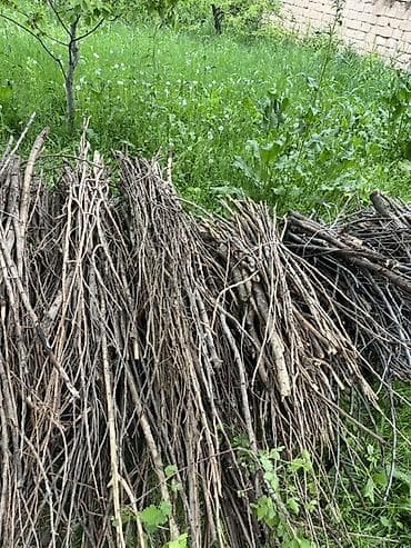 кант уголь: Дрова Самовывоз, Платная доставка — 5