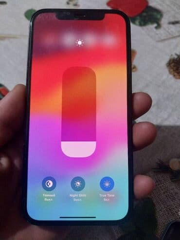 купить плиту электрическую одноконфорочную: IPhone 12, Blue Titanium, 77 % — 4