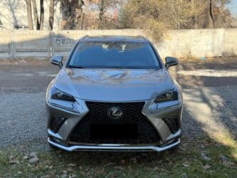 Lexus NX: 2019 г., 2 л, Автомат, Бензиновая, Кроссовер