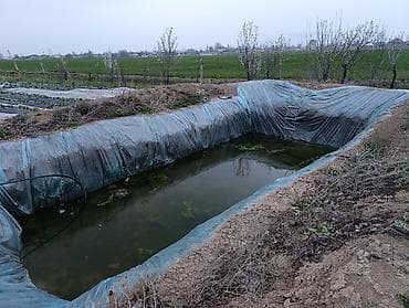 теплый бассейн: 25 соток, Для сельского хозяйства, Договор долевого участия — 7