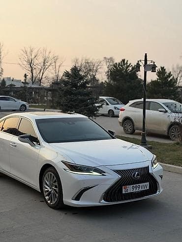 lexus es 2008: Lexus ES: 2019 г., 2.5 л, Автомат, Бензин, Седан — 2