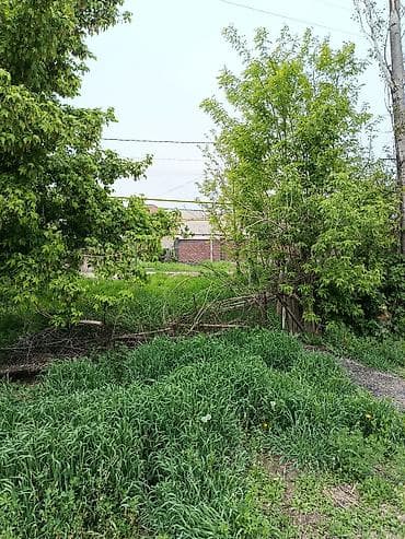 Земельные участки: 4 соток, Для строительства — 4