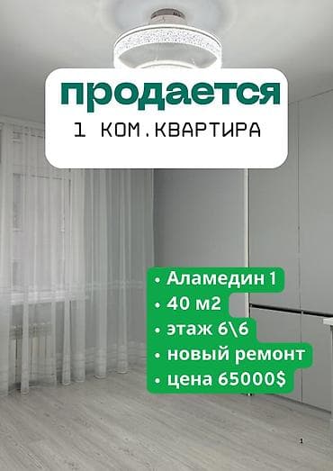 Кыймылсыз мүлк: 1 бөлмө, 40 м², Жеке план, 6 кабат, Дизайнердик ремонт — 1