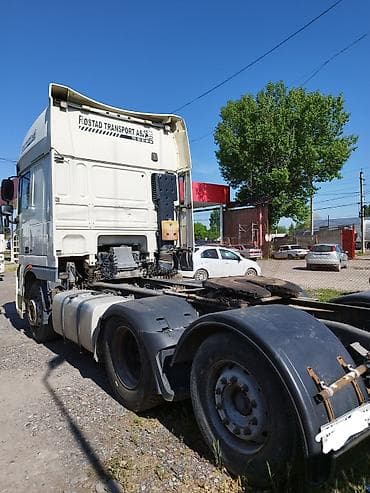 шприц автоматический: Тягач, DAF, 2013 г., Без прицепа — 3