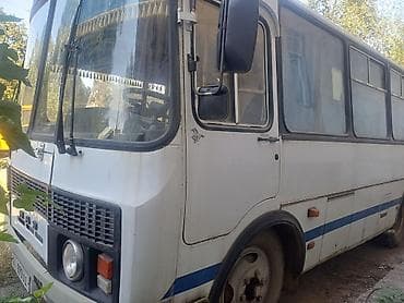 transporter multivan: Автобус, ПАЗ, 2006 г., 4.2 л, до 15 мест — 5