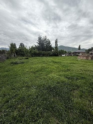 5 соток, Курулуш, Кызыл китеп