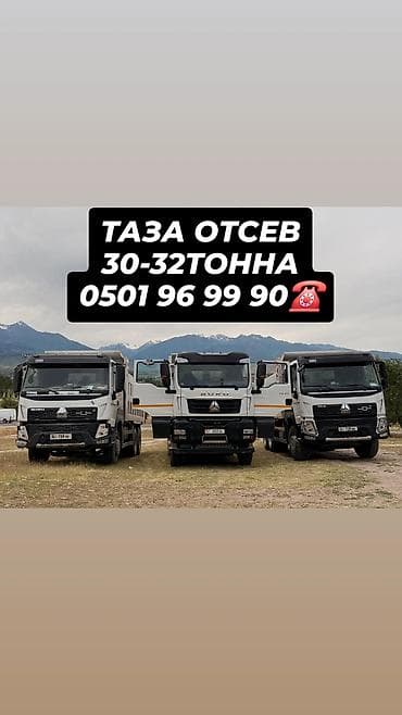 ТАЗА ОТСЕВ