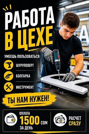 куратор: Требуется Сборщик, Оплата: Ежедневно, Без опыта — 1