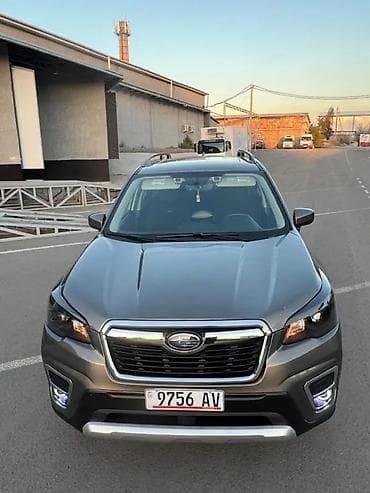 жугли 7: Subaru Forester: 2019 г., 2.5 л, Вариатор, Бензин, Кроссовер — 10