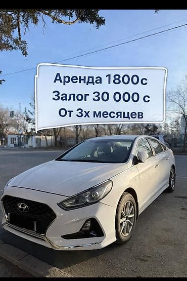 теди мишки: Сдаю Hyundai Sonata, Долгосрочно, Без водителя, | Залог, Предоплата, Другие условия — 1