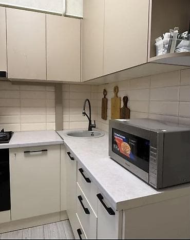 4: 2 комнаты, 45 м², ул. Московская / Манаса (Белинка) Индивидуалка, 4 этаж, Свежий ремонт — 4