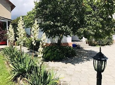 талисман коттедж: Коттедж, Царское село Чолпон-Ата, Детская площадка, Парковка, стоянка, Охраняемая территория — 9