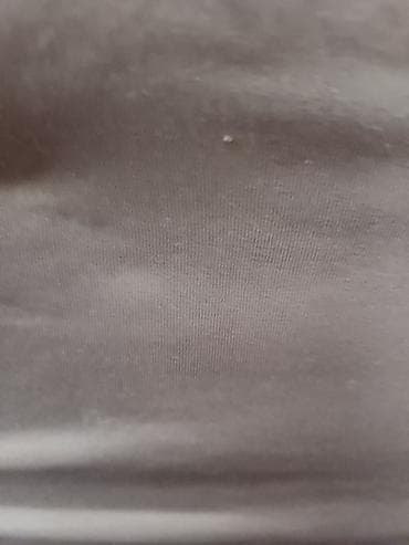 Малчы доярка керек at lalafo.kg Малчы доярка керек