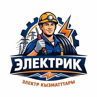 Электрики: Электромонтажные и сервисные работы “Электрик” Профессиональные — 1