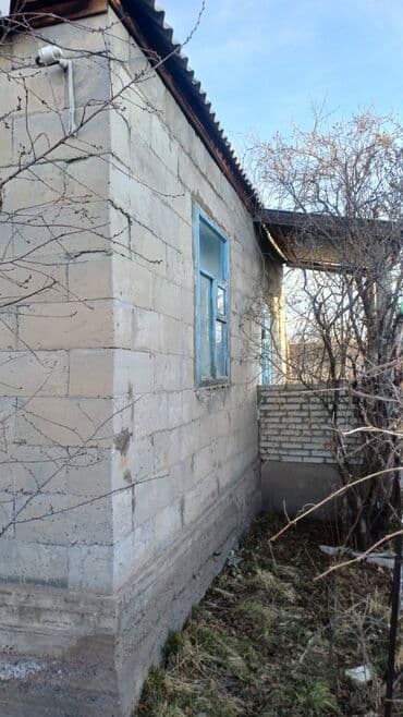 офис работа: 10 соток, Для сельского хозяйства, Красная книга — 3