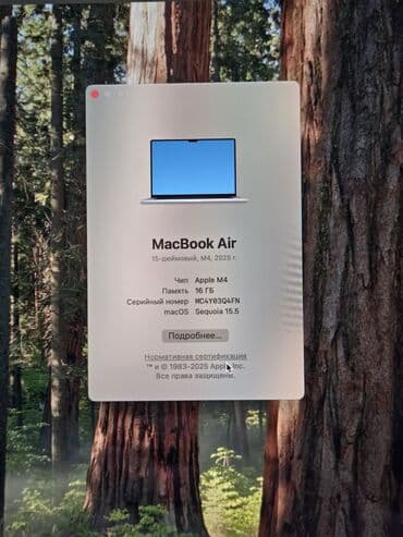 сколько стоит ipad в кыргызстане: Ноутбук, Apple, 16 ГБ ОЗУ, Apple M4, 15.4 ", Б/у, Для несложных задач, память SSD — 10