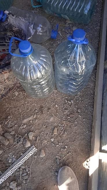 Даяр бизнес: Бензиновый бутылкалар сатылат 100 штук бар кимге керек болсо чалгыла — 1