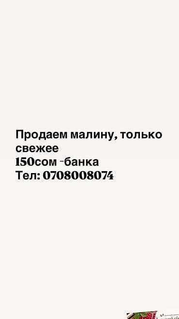 Малина Чекене — 1