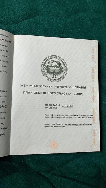 алис: 600 соток, Для сельского хозяйства, Договор купли-продажи — 2